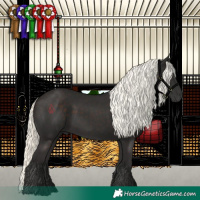 Horse Color:Liver Chestnut Mushroom 