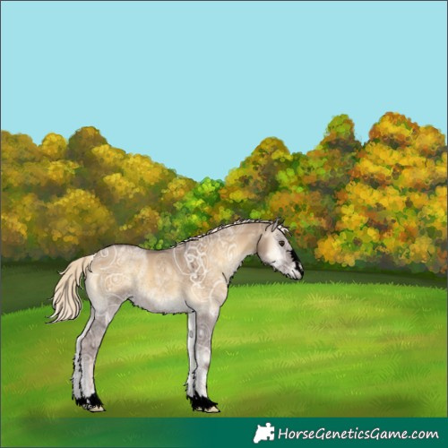 Horse Color:Void Chocolate Palomino Ice Onyx Rabicano 