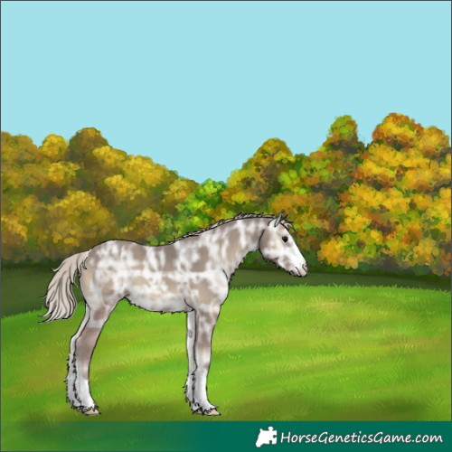 Horse Color:Silver Smoky Blue Onyx Ice 