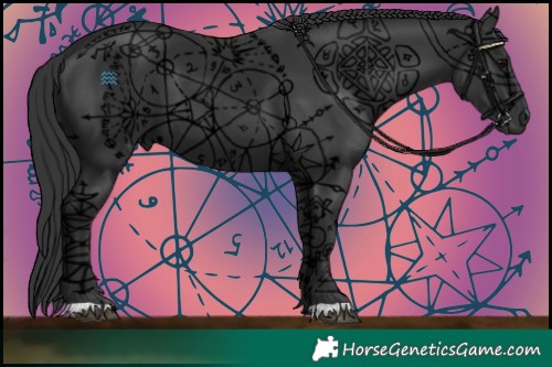 Horse Color:Black 