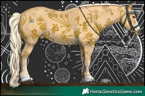 Horse Color:Palomino 