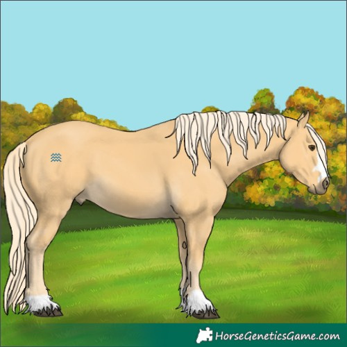 Horse Color:Palomino 