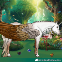 Horse Color:Gray Chestnut