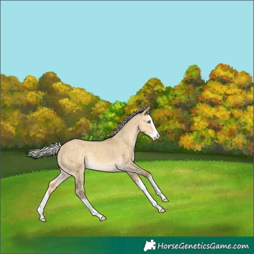 Horse Color:Silver Sable Cream Champagne Dun Splash 