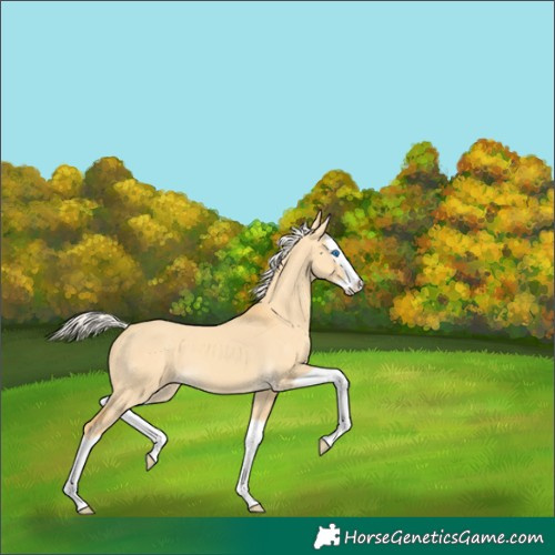 Horse Color:Silver Sable Cream Champagne Dun Splash 