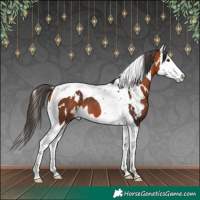 Horse Color:White Spotted Bay Splash Tobiano