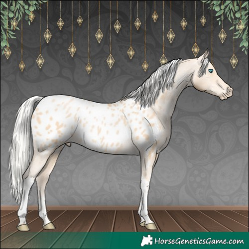 Horse Color:Silver Buckskin Pearl Tobiano Appaloosa 
