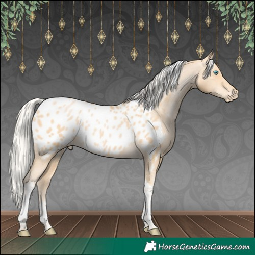 Horse Color:Silver Buckskin Pearl Tobiano Appaloosa 