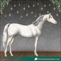 Horse Color:Silver Buckskin Pearl Tobiano Appaloosa 