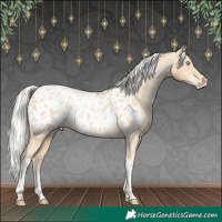 Horse Color:Silver Buckskin Pearl Tobiano Appaloosa 