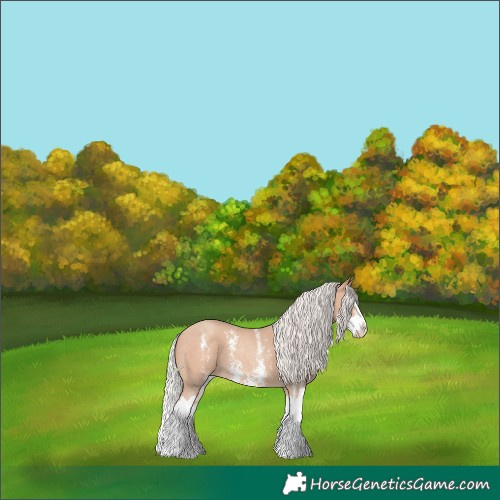 Horse Color:Silver Amber Champagne Sabino Splash Varnish 