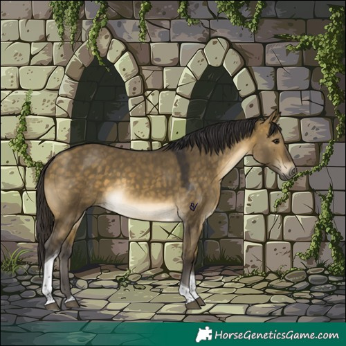 Horse Color:Buckskin Dun Tobiano Rabicano