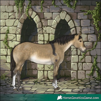 Horse Color:Buckskin Dun Tobiano Rabicano 