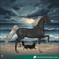 Horse Color:Liver Chestnut Mushroom Tobiano Rabicano