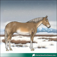 Horse Color:Chocolate Palomino Mushroom Tobiano Rabicano