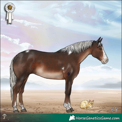 Horse Color:Liver Chestnut Mushroom Splash Tobiano Rabicano 