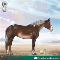 Horse Color:Liver Chestnut Mushroom Splash Tobiano Rabicano 