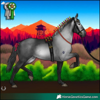 Horse Color:Gray Black 