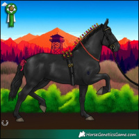 Horse Color:Gray Black
