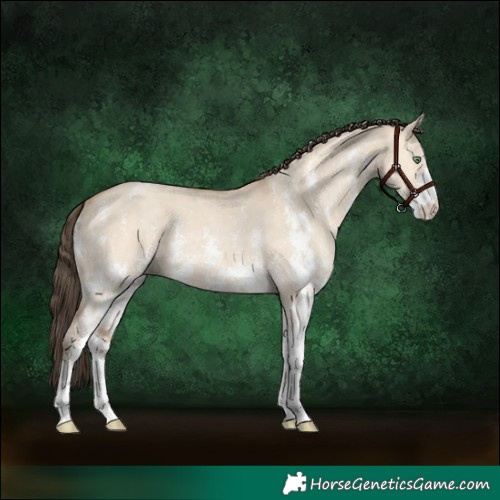 Horse Color:Amber Champagne Dun Sabino 