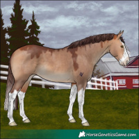 Horse Color:Chocolate Bay Dun Splash 