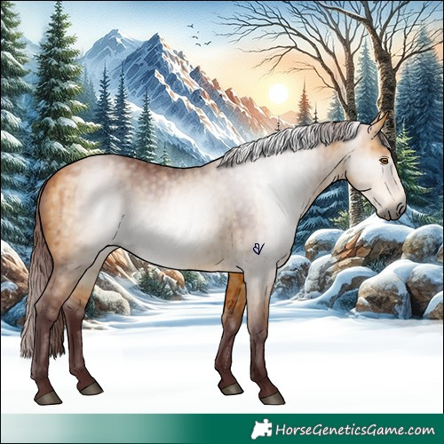 Horse Color:Gray Chocolate Buckskin Dun Brindle 