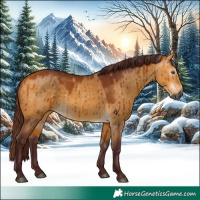 Horse Color:Gray Chocolate Buckskin Dun Brindle 