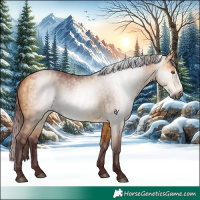 Horse Color:Gray Chocolate Buckskin Dun Brindle 