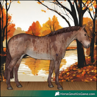 Horse Color:Chocolate Brown Dun Brindle 