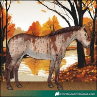 Horse Color:Chocolate Brown Dun Brindle