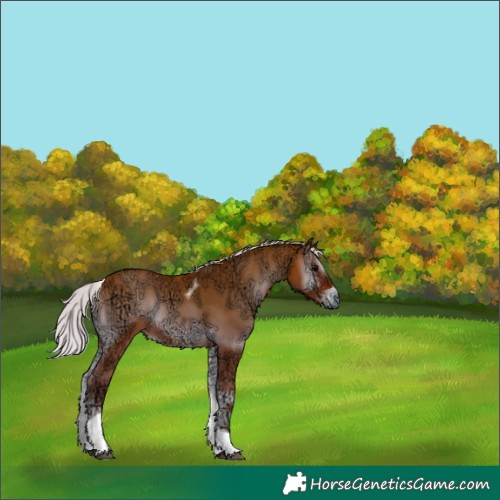 Horse Color:Silver Bay Ice Onyx Tobiano 