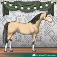 Horse Color:Buckskin Splash 