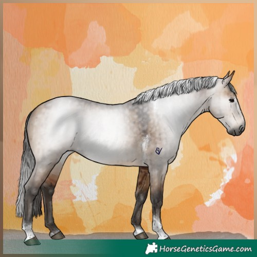 Horse Color:Gray Bay Dun Tobiano Brindle 
