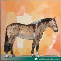 Horse Color:Gray Bay Dun Tobiano Brindle