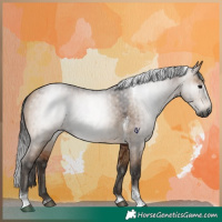 Horse Color:Gray Bay Dun Tobiano Brindle 