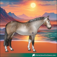 Horse Color:Gray Bay Dun Tobiano 