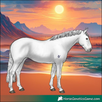 Horse Color:Gray Bay Dun Tobiano 