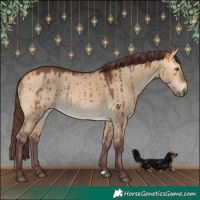 Horse Color:Chocolate Buckskin Dun Brindle 