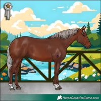 Horse Color:Chocolate Silver Brown