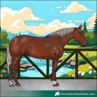 Horse Color:Chocolate Silver Brown