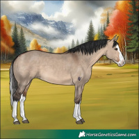 Horse Color:Bay Dun Splash 