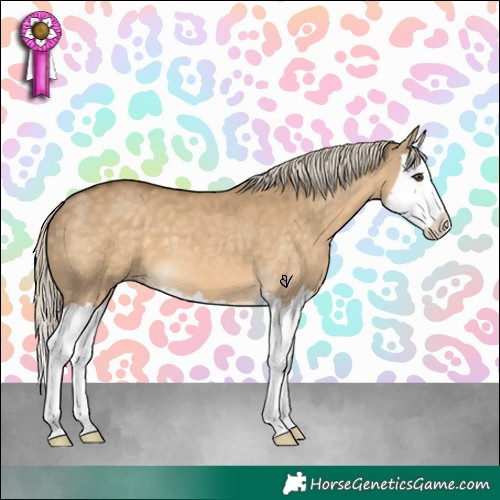 Horse Color:Chocolate Palomino Dun Splash 