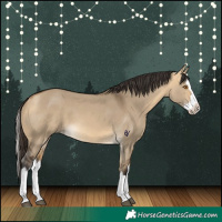 Horse Color:Buckskin Dun Splash 