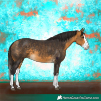 Horse Color:Buckskin Splash 