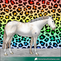Horse Color:Gray Chocolate Buckskin Pearl Dun Appaloosa 
