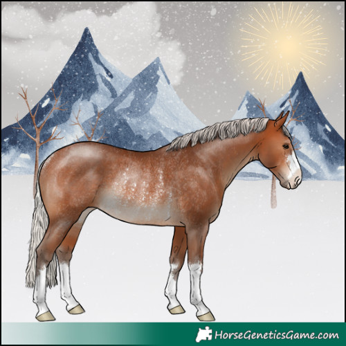 Horse Color:Silver Brown Rabicano 