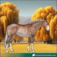 Horse Color:Silver Brown Rabicano 