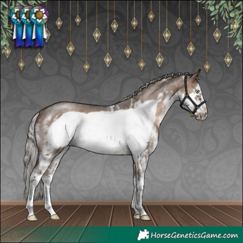 Horse Color:Silver Brown Dun Sabino Frame Rabicano 