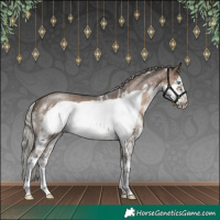 Horse Color:Silver Brown Dun Sabino Frame Rabicano 