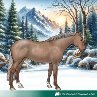 Horse Color:Silver Grullo Rabicano 